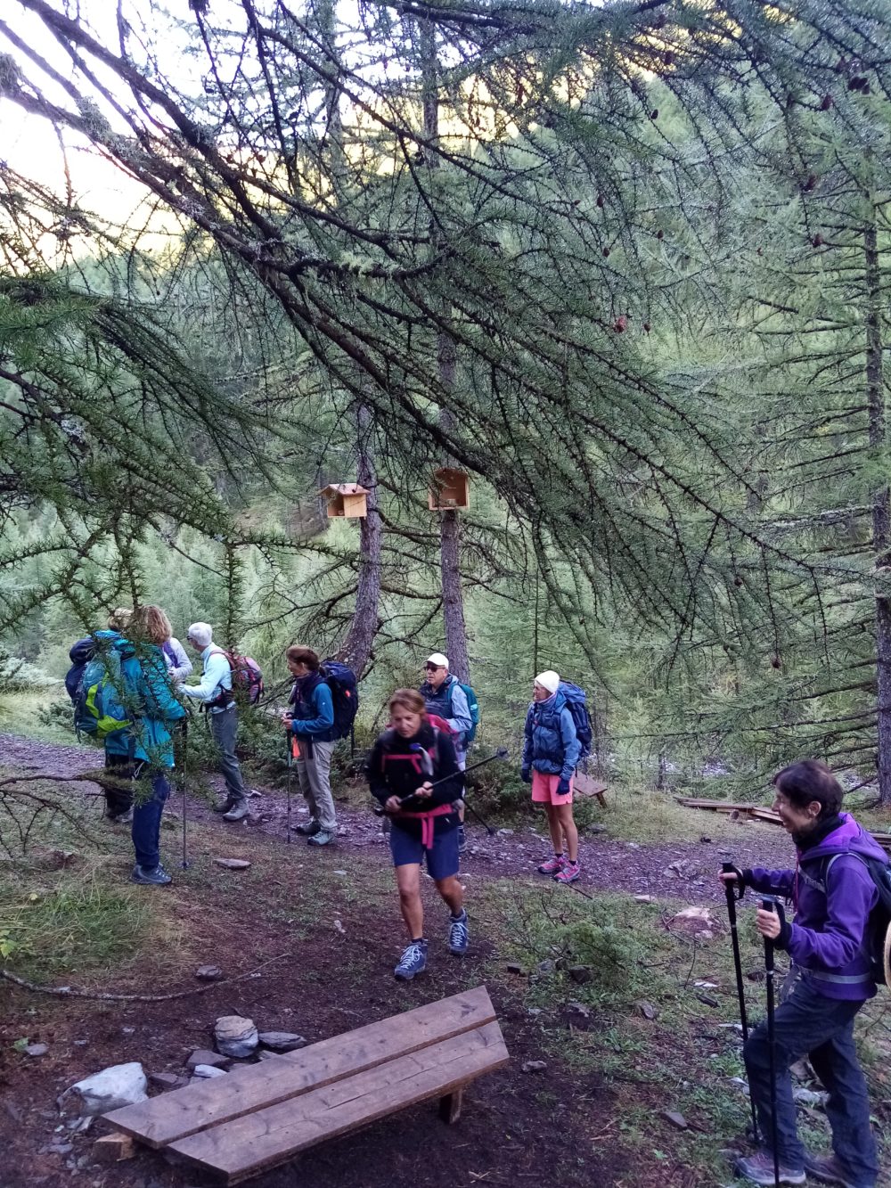 CREVOUX Le chemin des Fées