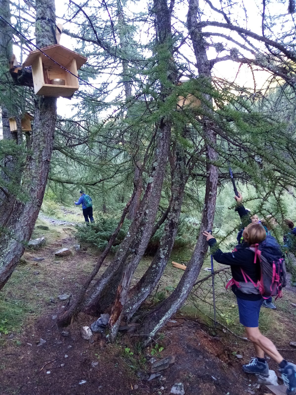 CREVOUX Le chemin des Fées